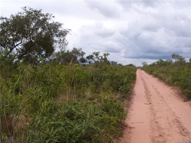 Vendo Fazenda em Gilbués-PI