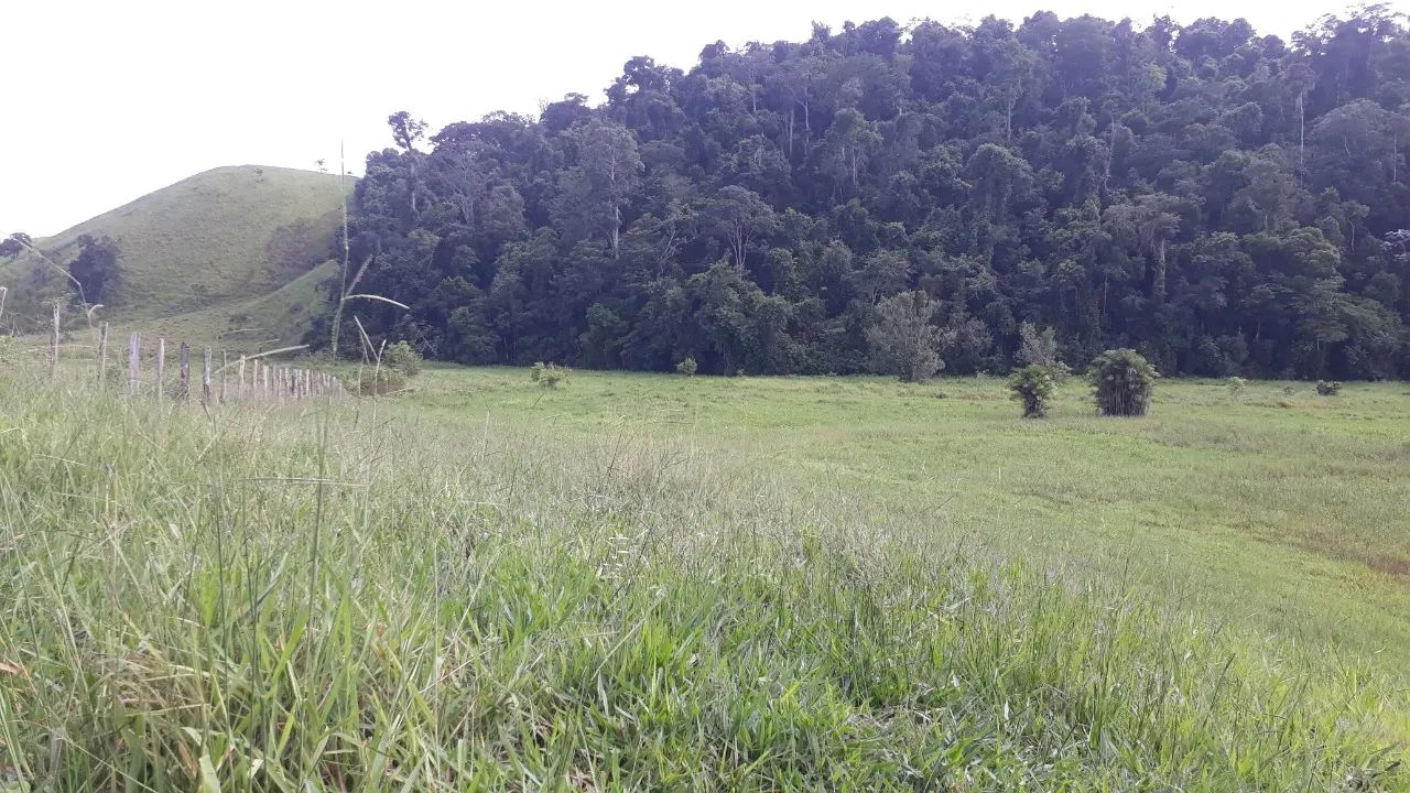 Venda-se está fazenda de 80 Alqueires no Município de Kennedy/ES. - Foto 3