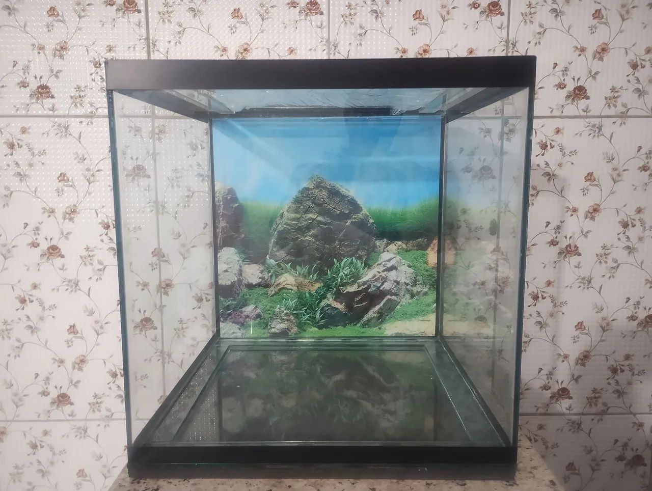 SUPORTE PARA AQUÁRIO MAIS AQUÁRIO , CUBO 40XX40X40 - Foto 2