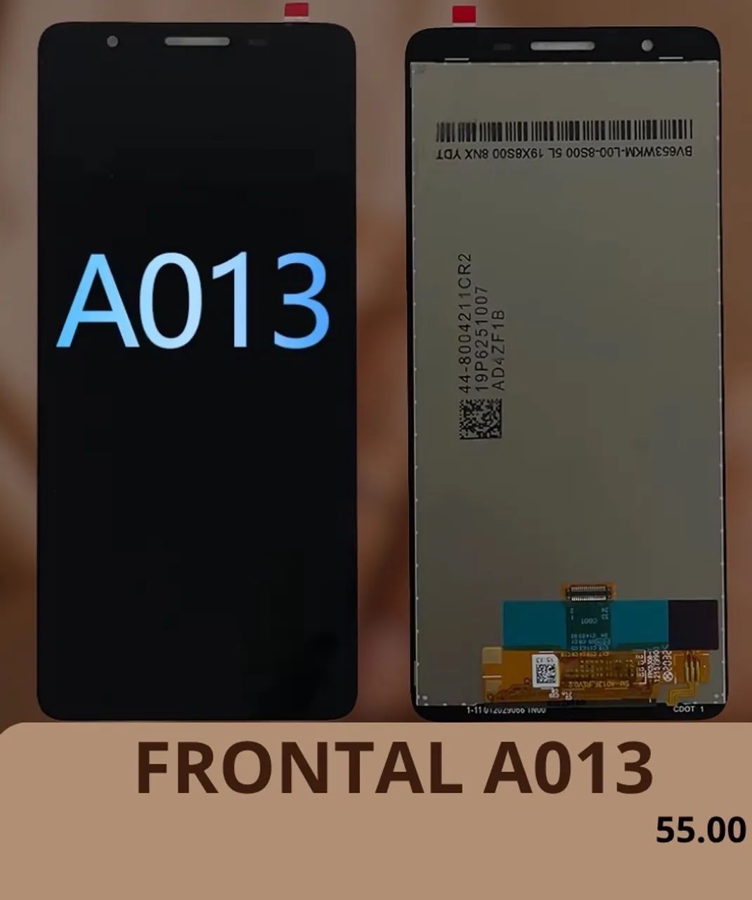 Frontal A13