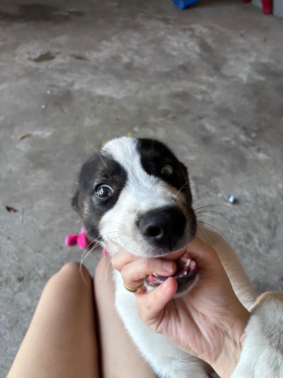 doação  - Foto 2