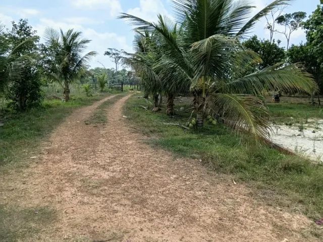 Chacara de 1,5 alqueire - Foto 3