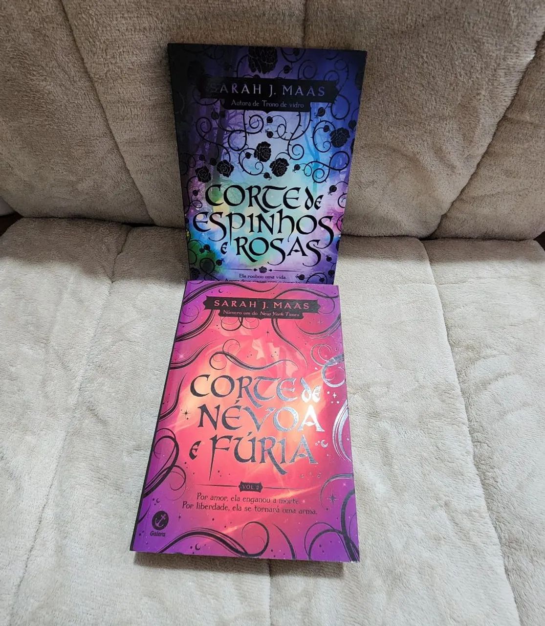  Corte de rosa e espinhos livro 1 e 2