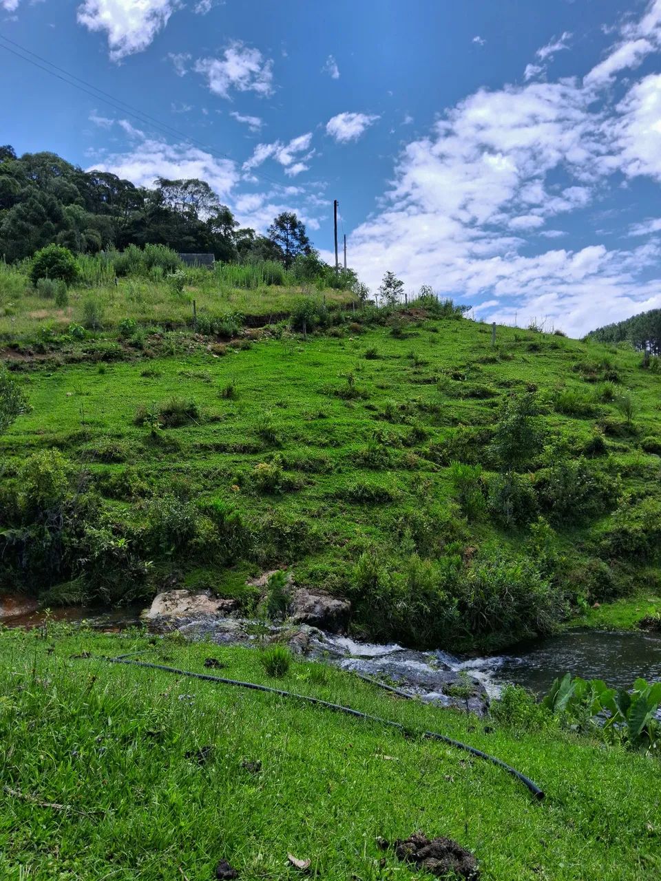 Terreno com riacho em Anitápolis-SC  - Foto 3