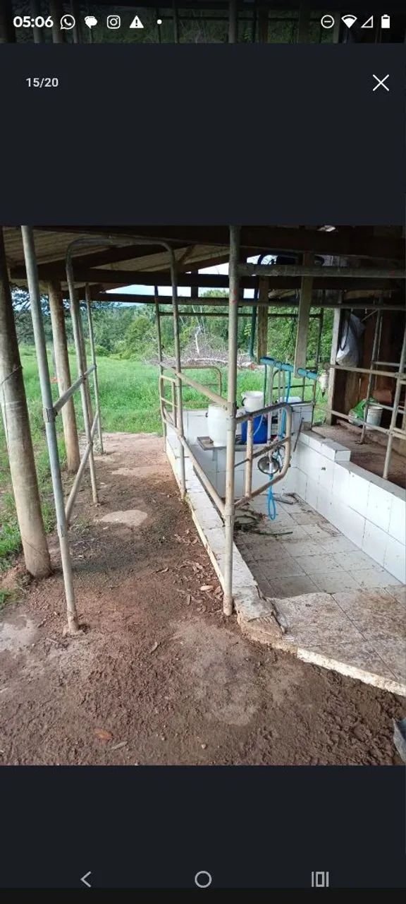 Chácara a venda São Felipe  - Foto 3