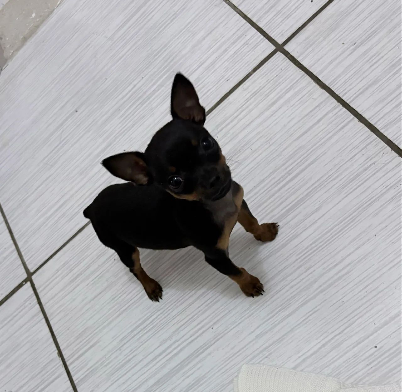 Vendas - Foto 2