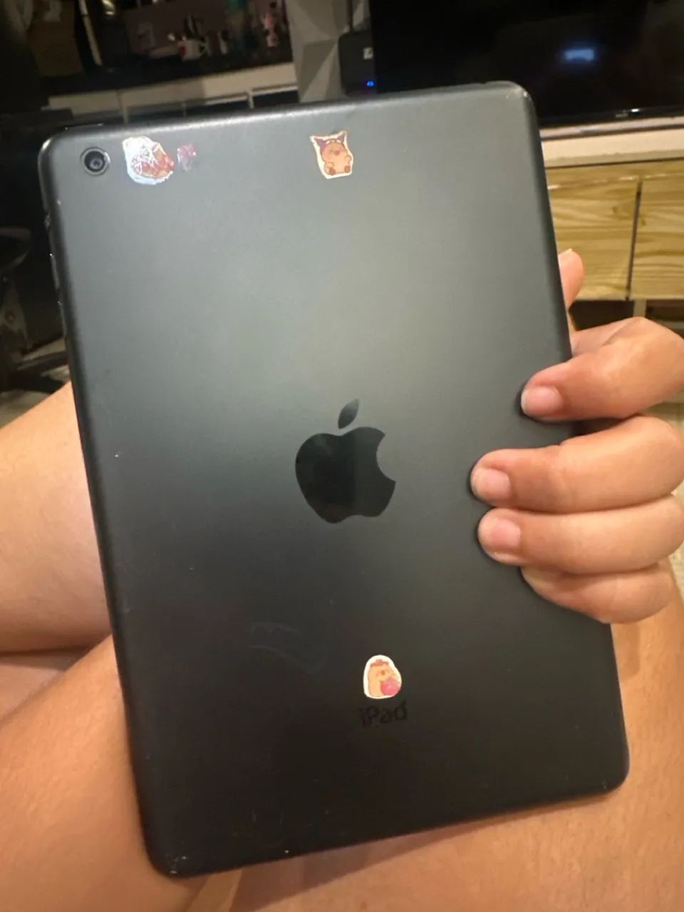 iPad mini 1  - Foto 4