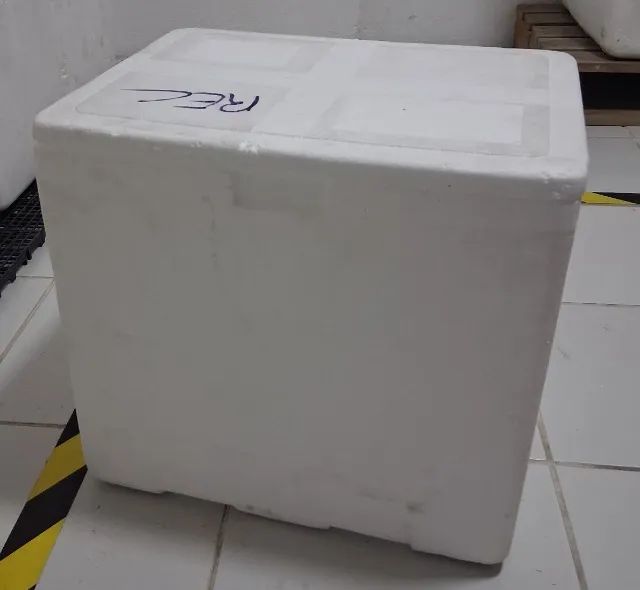 CAIXAS DE ISOPOR MUITO NOVAS