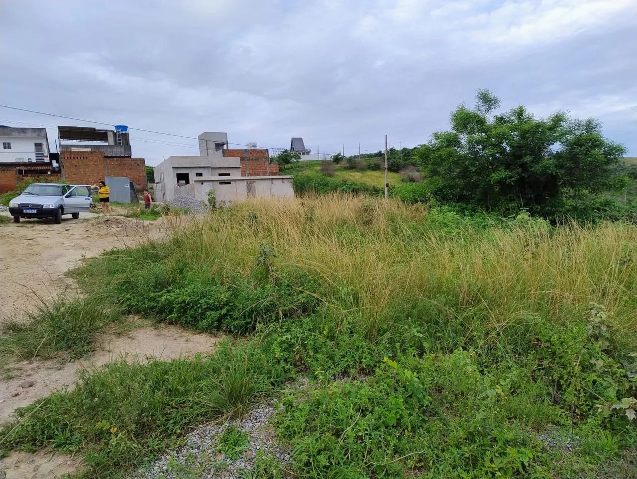 Terreno Montadas oliveiras II - Foto 4