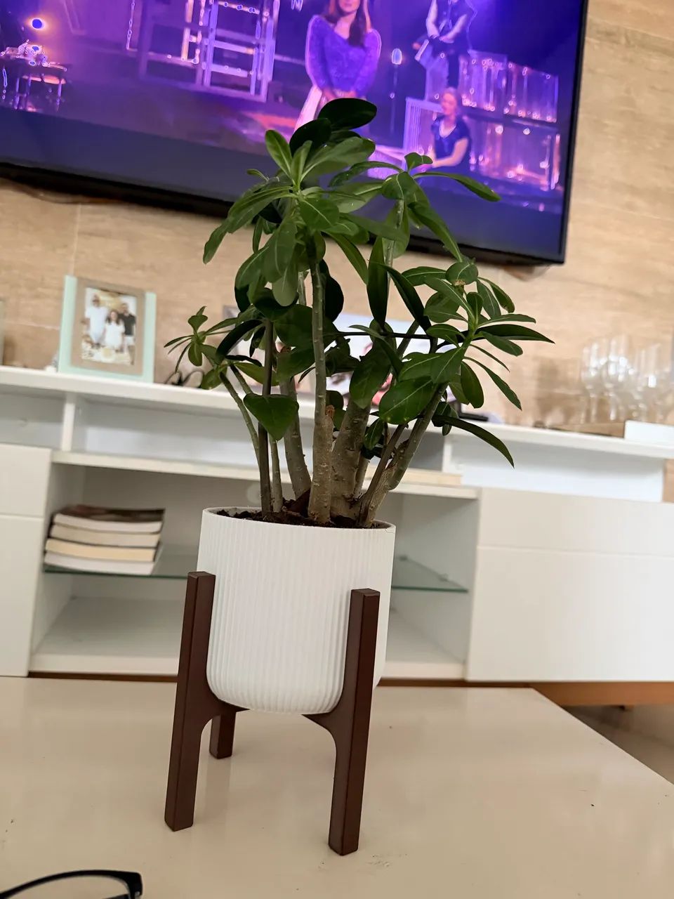 Vaso canelado - Foto 2