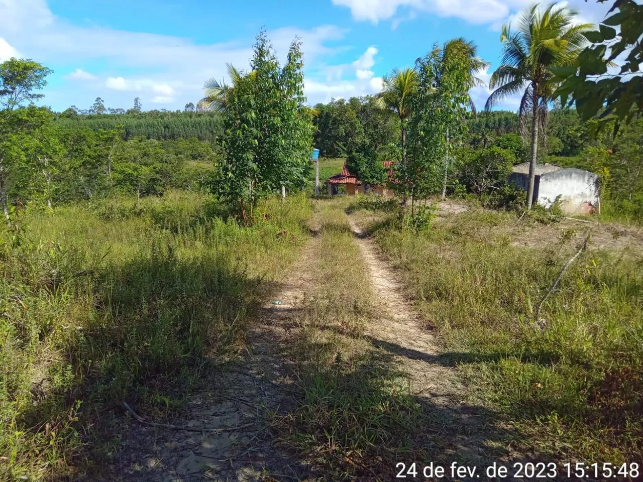 Foto - Alagoinhas - Centro