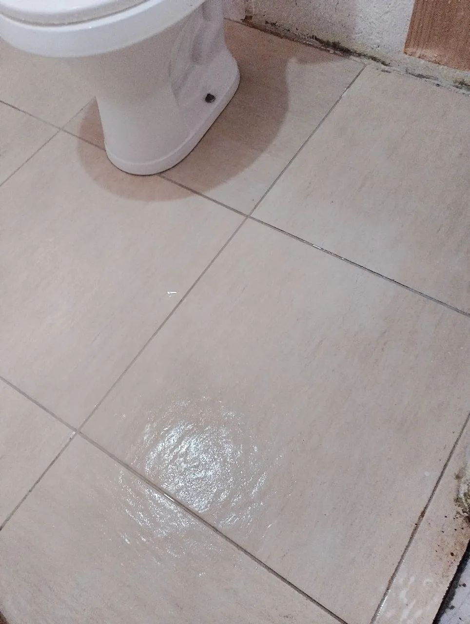 Diarista Camila.  - Foto 3