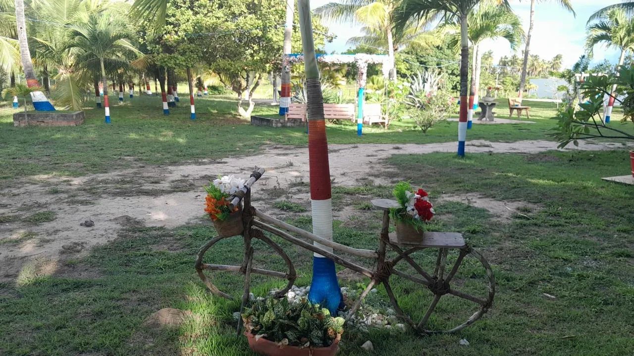 Chacara para investidores - Foto 5