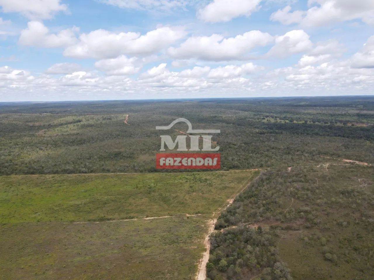FAZENDA PEDRO AFONSO - TO - 311 alqueires (1.507 Hectares) - Foto 4