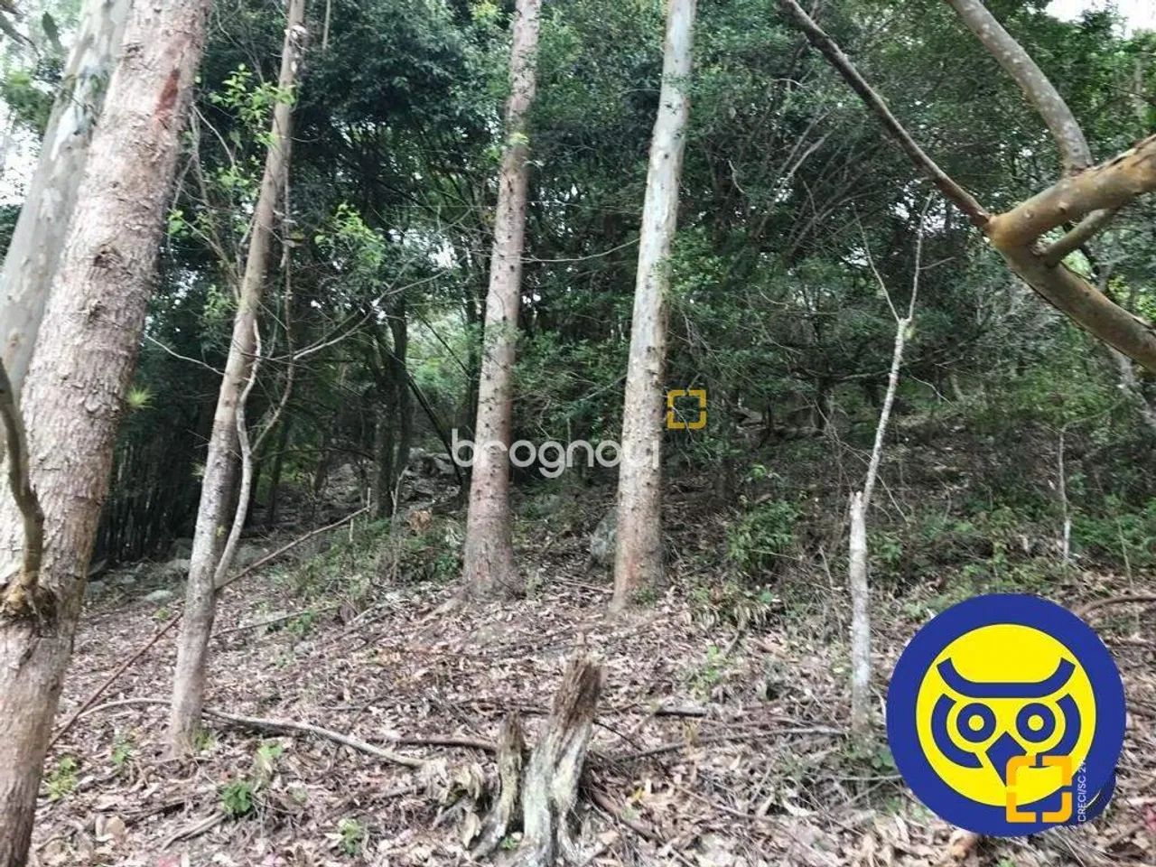 Lote/Terreno com 66.151m² - bairro Vargem Grande - Florianópolis - SC - Foto 4
