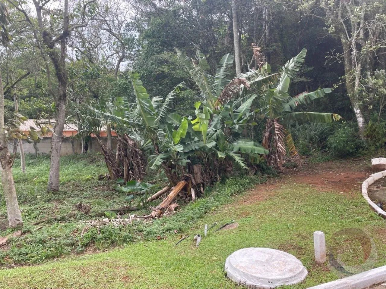 Terreno para Venda em Florianópolis, Morro das Pedras - Foto 4