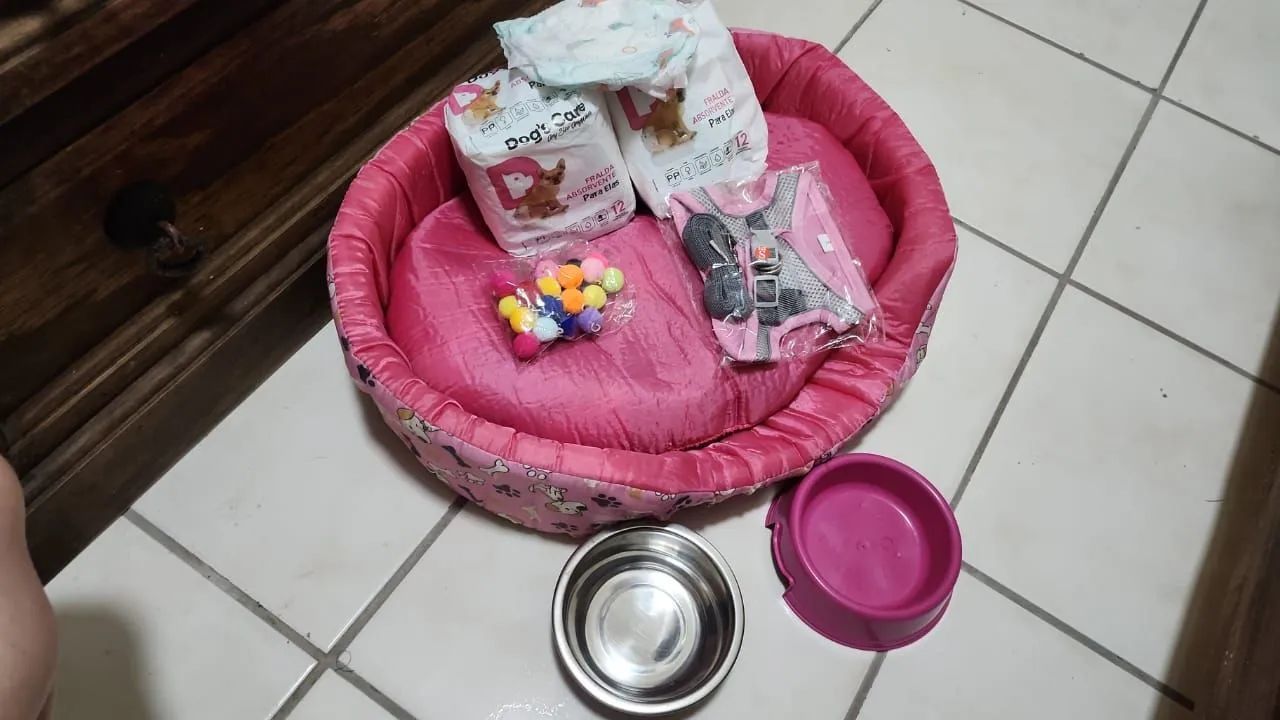 VENDO CERCADO REFORÇADO COM TAPETE HIGIÊNICO IMPERMEÁVEL E LAVÁVEL,ALÉM DE OUTROS ITENS. - Foto 2