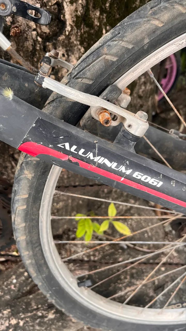 Bicicleta - Foto 5