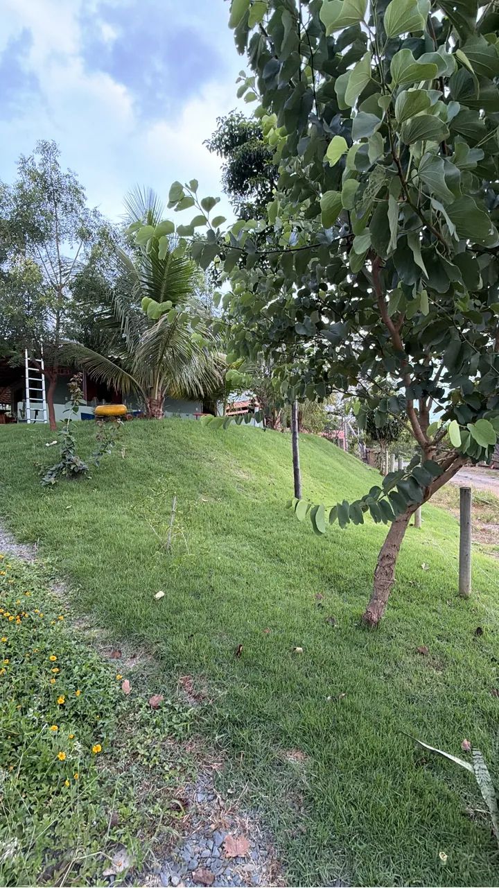 Sítio em Martinho Campos 