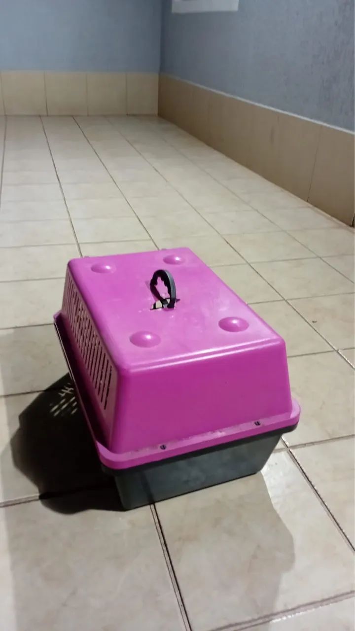 Cauxa de transporte pet para cães e gatos - Foto 4