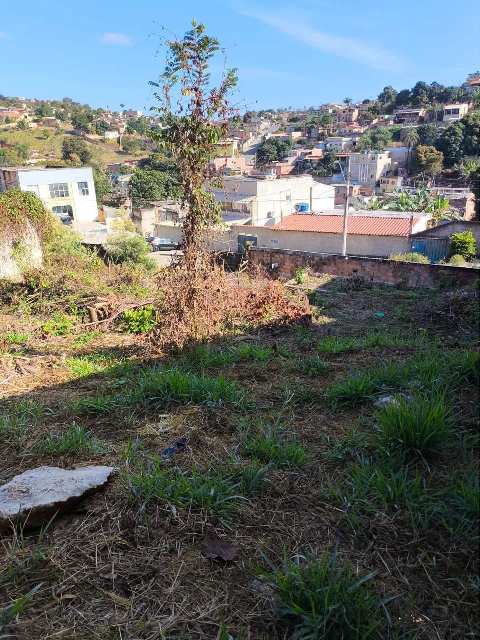 VENDO Lote - Rosaneves - Foto 4