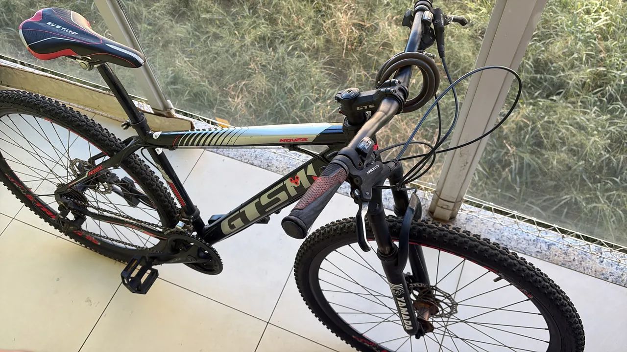 Bicicleta GTSM1