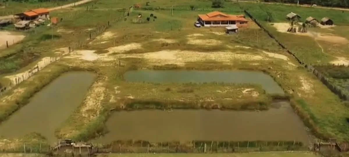 ? SÍTIO/CHÁCARA À VENDA EM BACABEIRA - MA - Foto 2