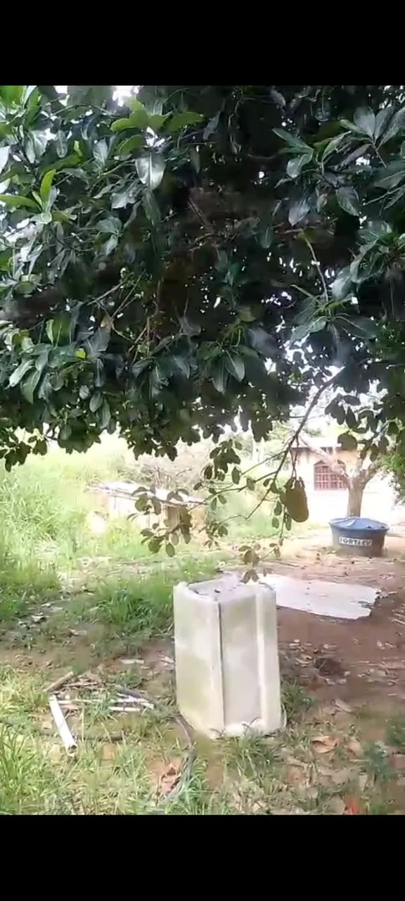 Foto - Itapemirim - Itapemirim