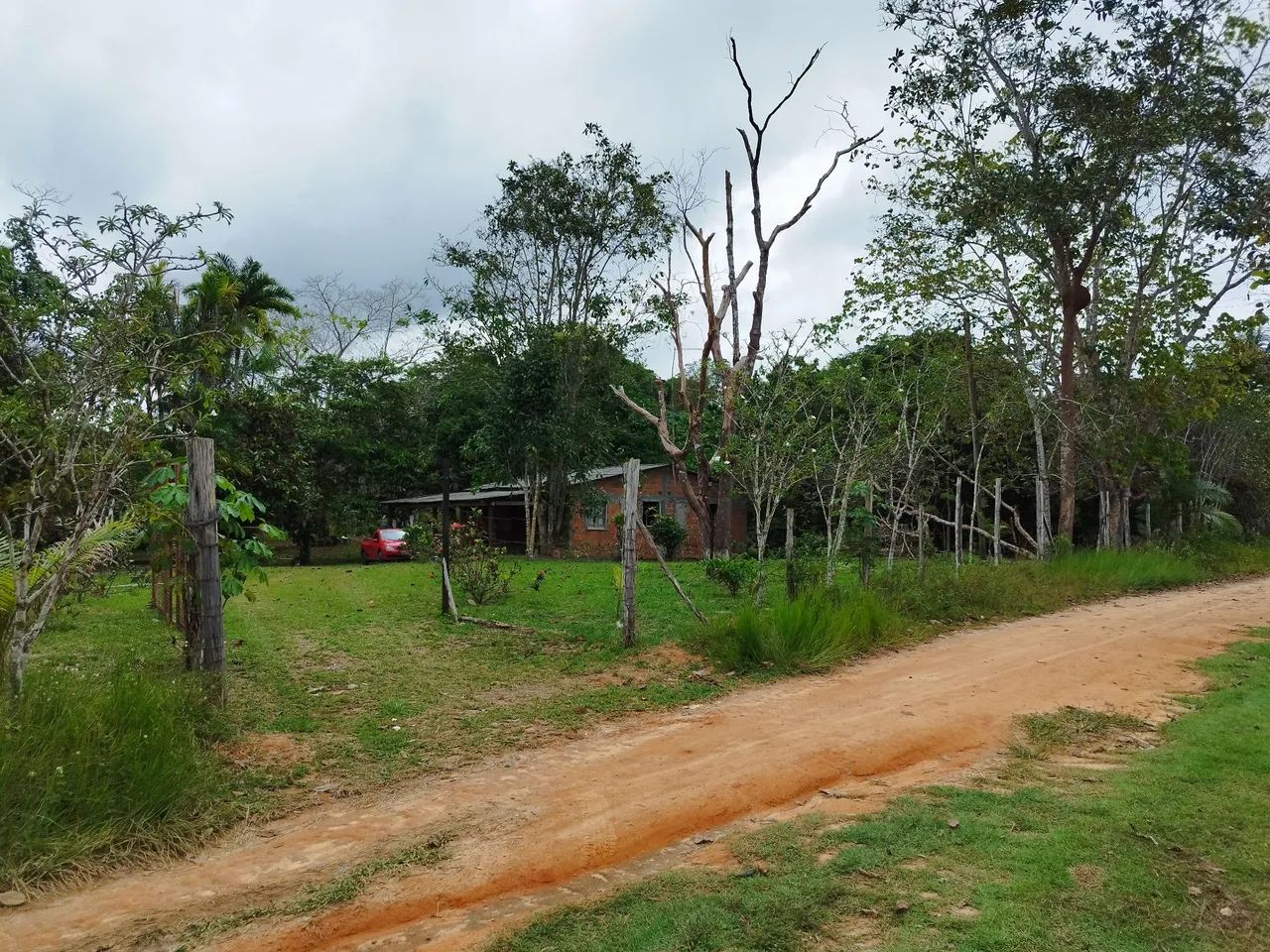 Foto - Manaus - Flores