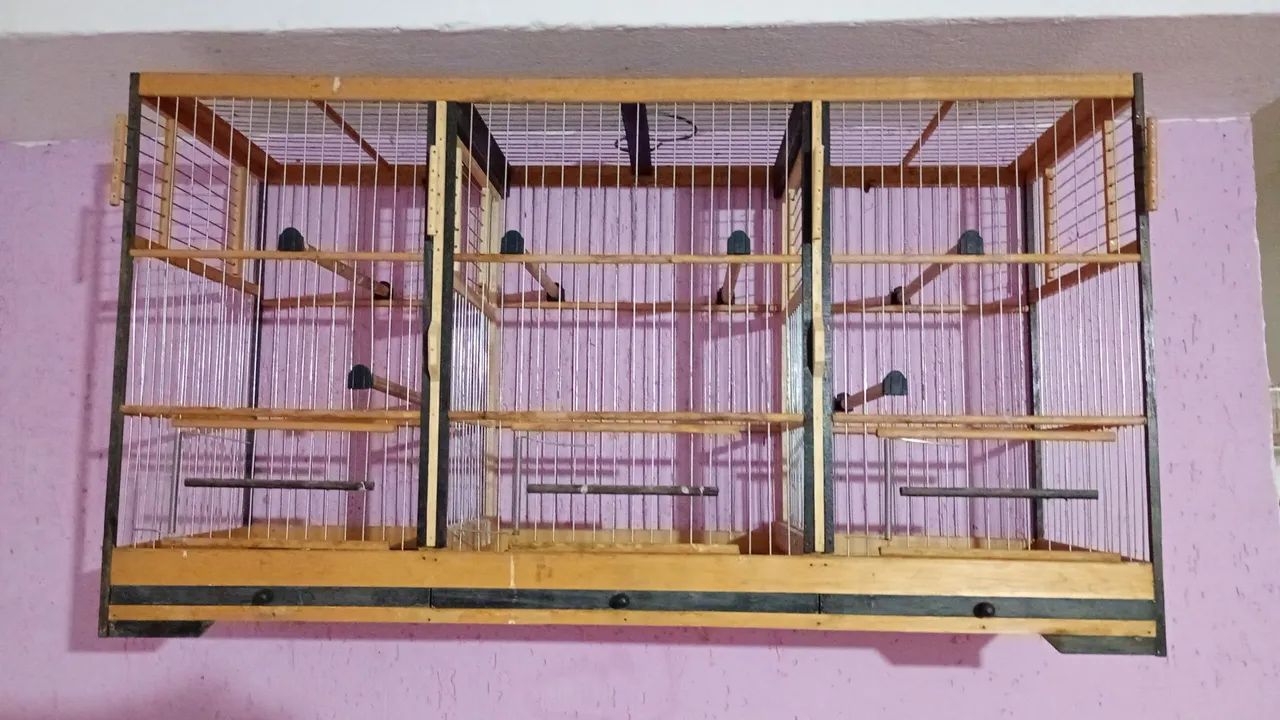 Gaiola voador parceria 