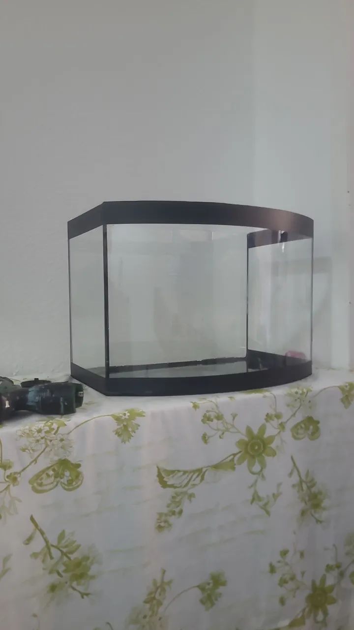 Aquário ou terrario curvo grande 50lt