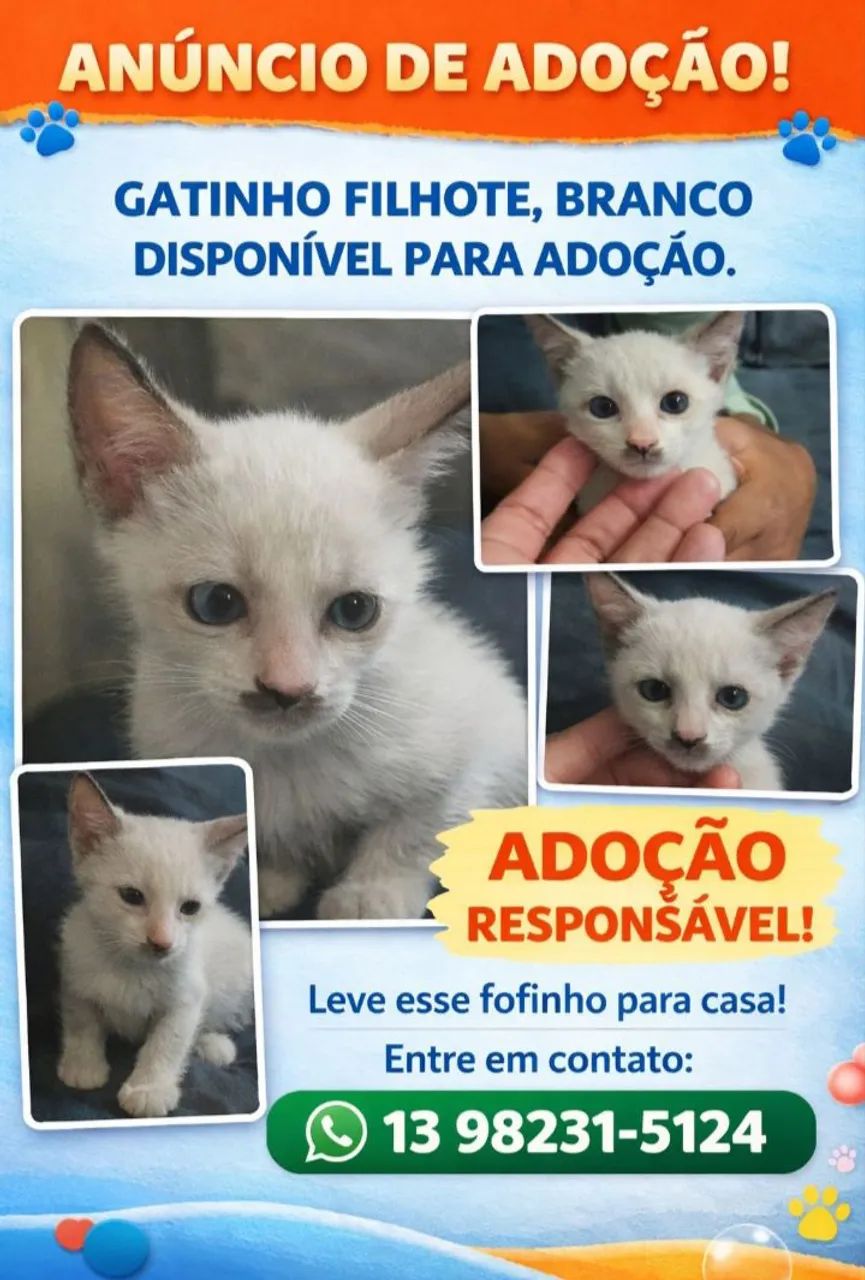 Doação 