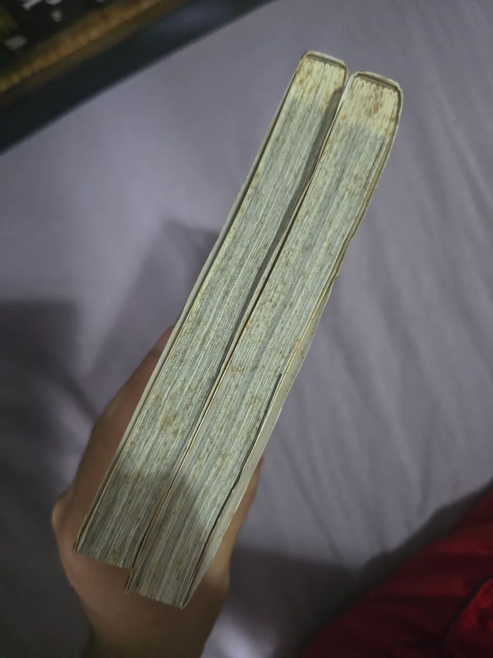 Vagabond a historia de musashi 1 e 2 - Foto 3