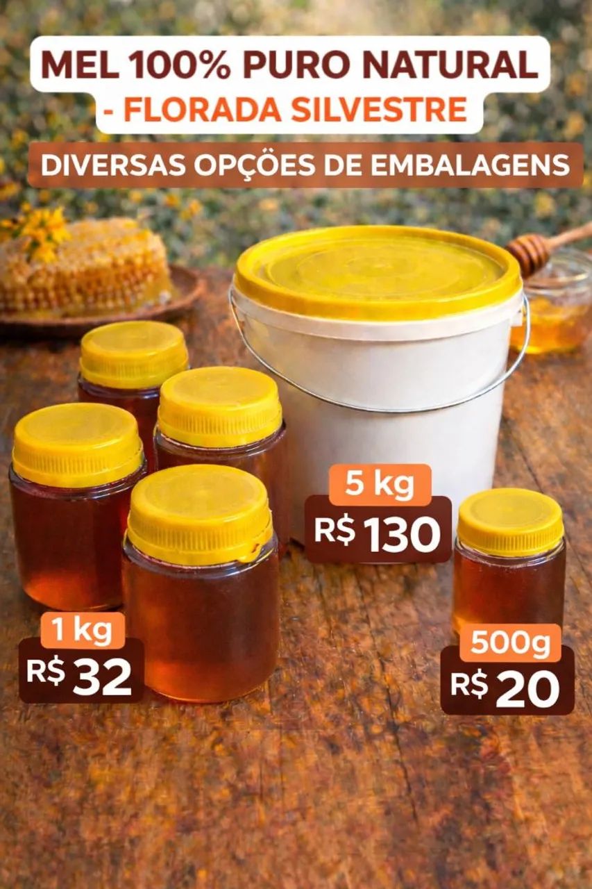 Mel de Abelha florada silvestre