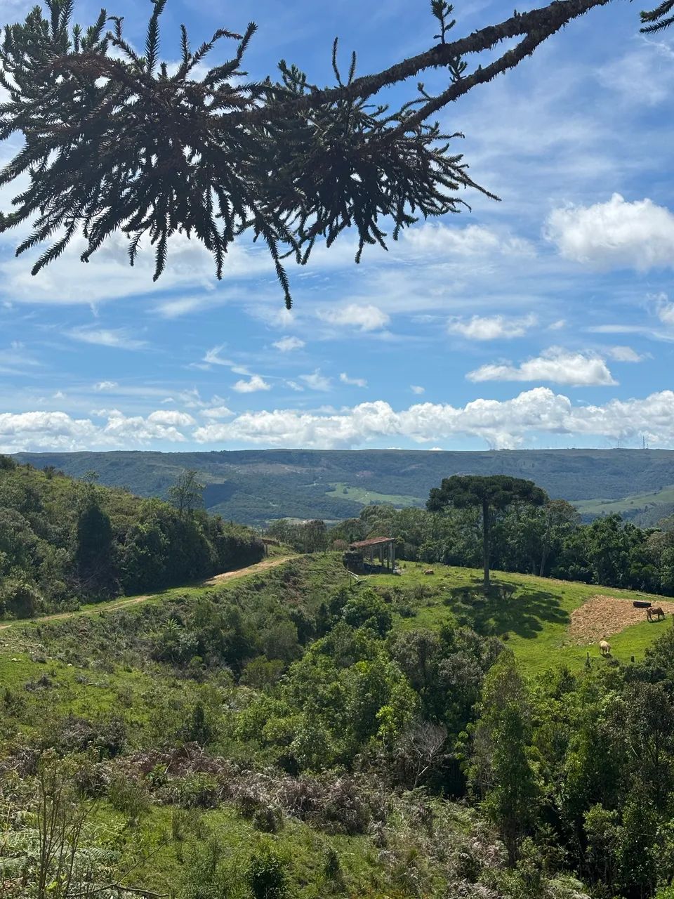 Lindo terreno em Alfredo Wagner  - Foto 4