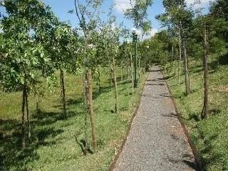 Casa com 3 dormitórios para alugar, 200 m² por R$ 7.089/mês - Condomínio Villa dos Ingleze - Foto 8