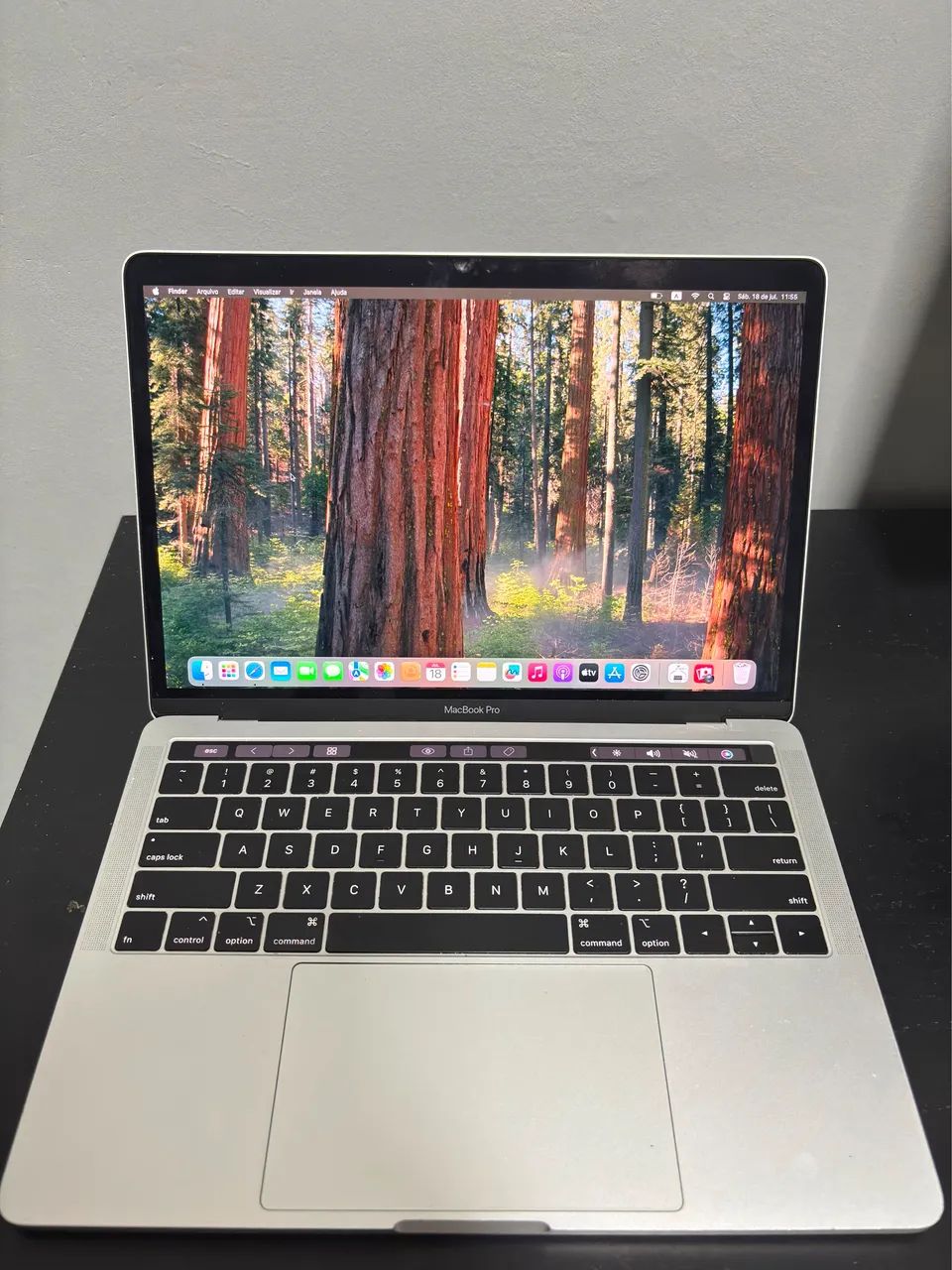 MacBook Pro 2019/256GB/8GB 美品 MACBOOK PRO 2019 8 RAM 256GB - Notebooks - Novo Horizonte