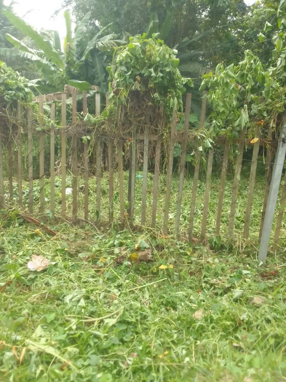 TERRENO PRA VENDER 12.000 - Foto 3