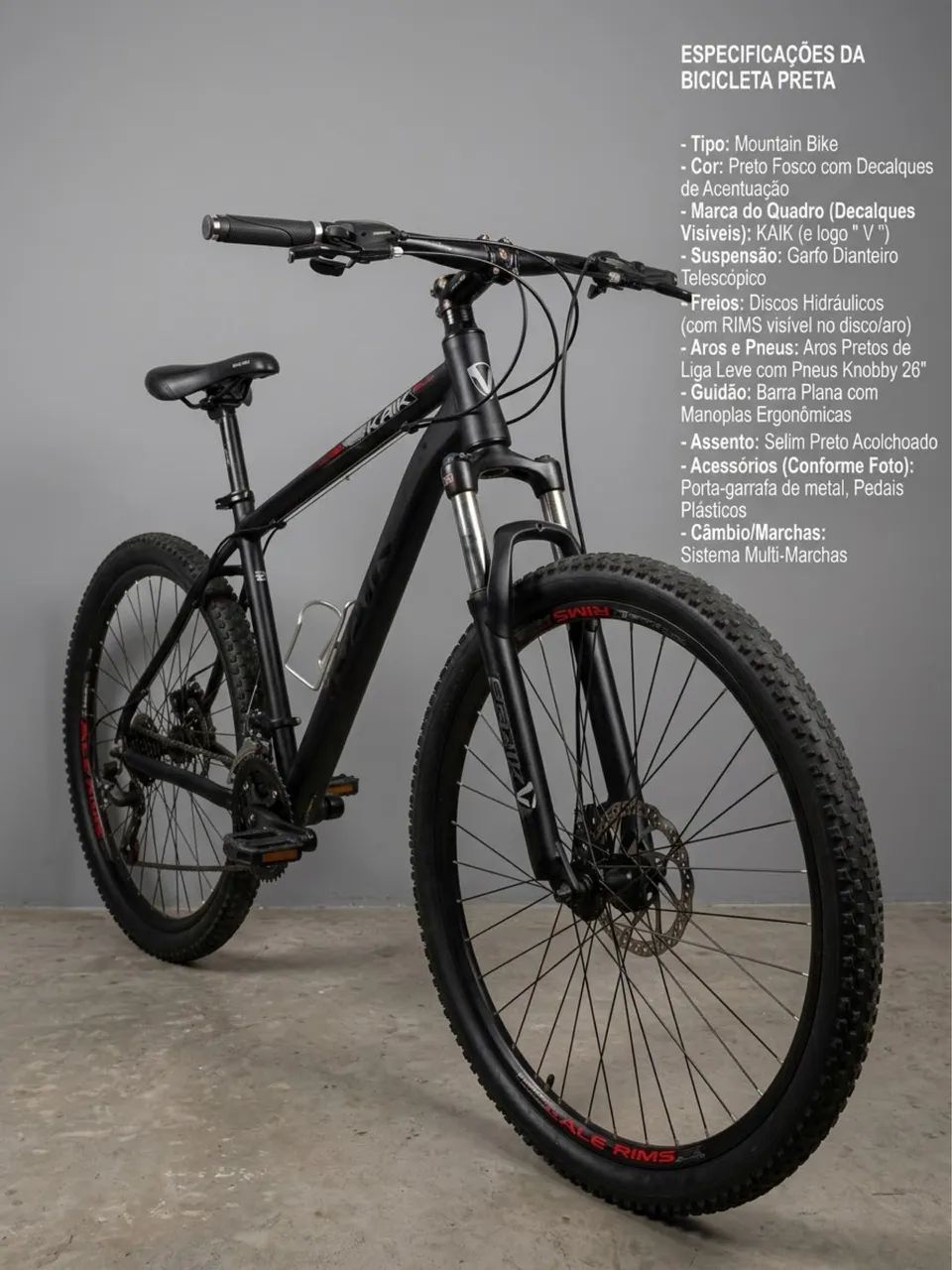 Mountain Bike (MTB)