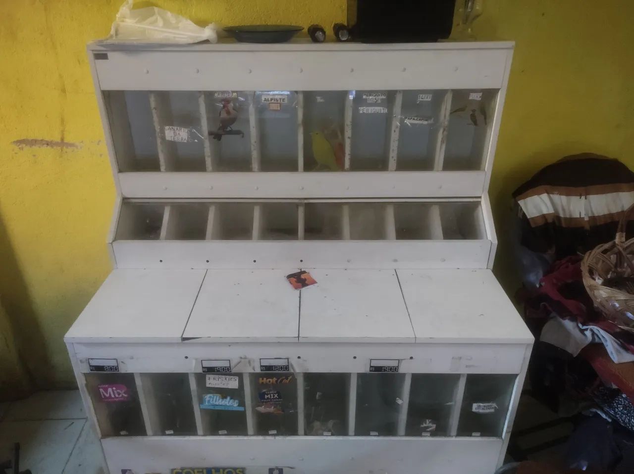 Ração  - Foto 4