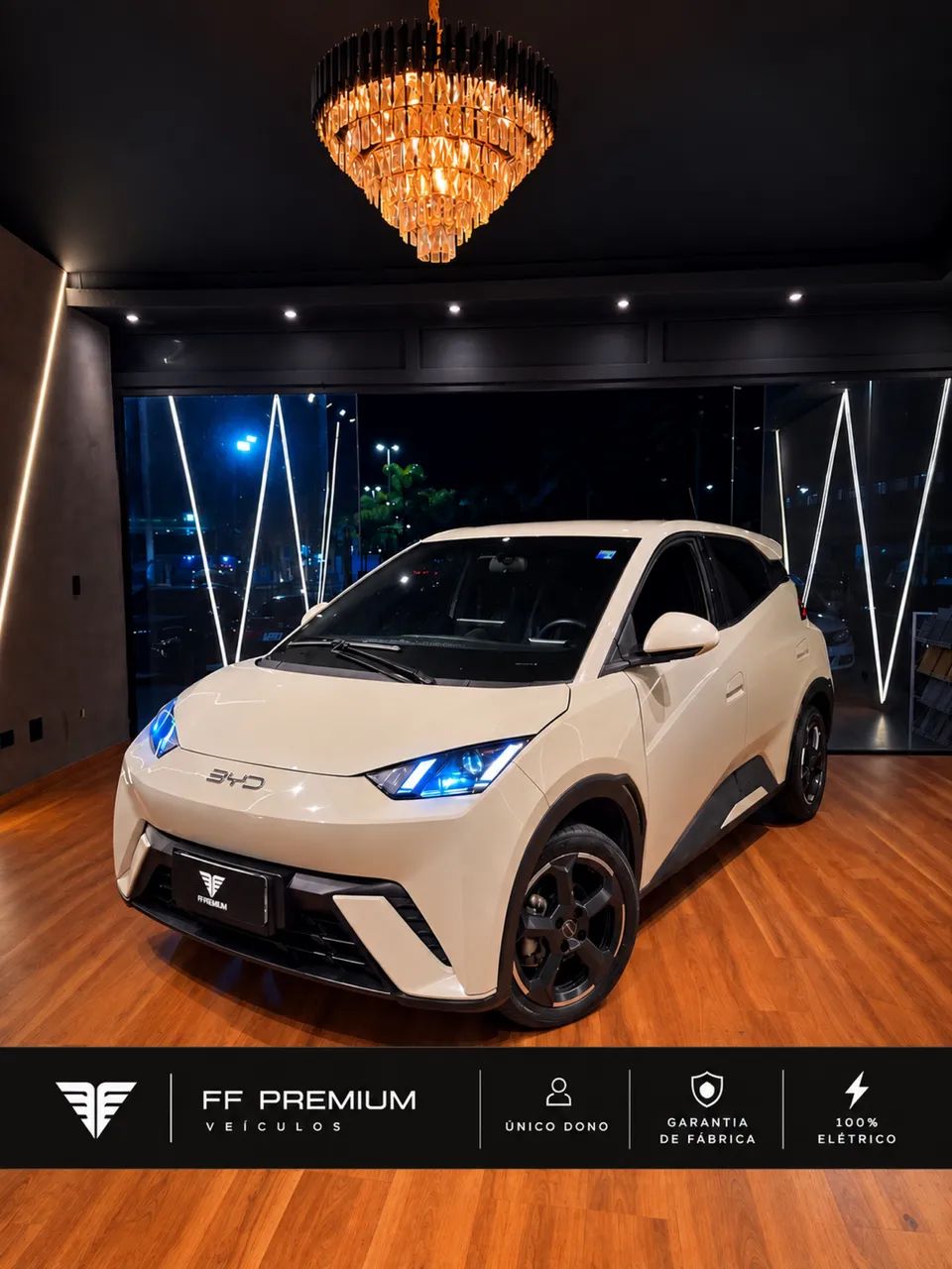 BYD Dolphin Mini (Elétrico) 2025