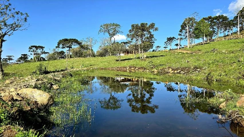 Sítio de Altitude, com linda vista das Montanha  - Foto 3