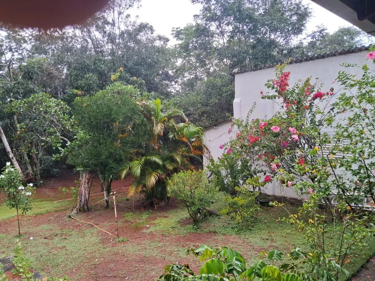 CHÁCARA À VENDA  CHAPADA DOS GUIMARÃES/MT - Foto 4