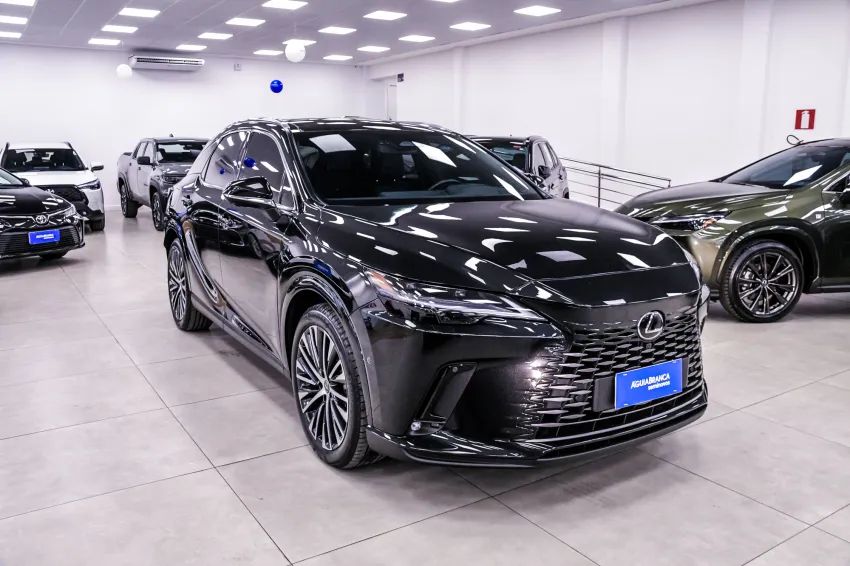 Lexus RX-450h 2.5 16V Aut. (híbrido), foto 5 de 19