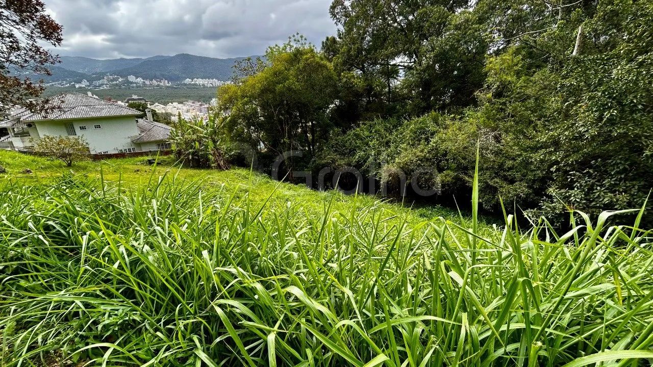 Terreno de 1.003,00 m² na Trindade - Foto 4