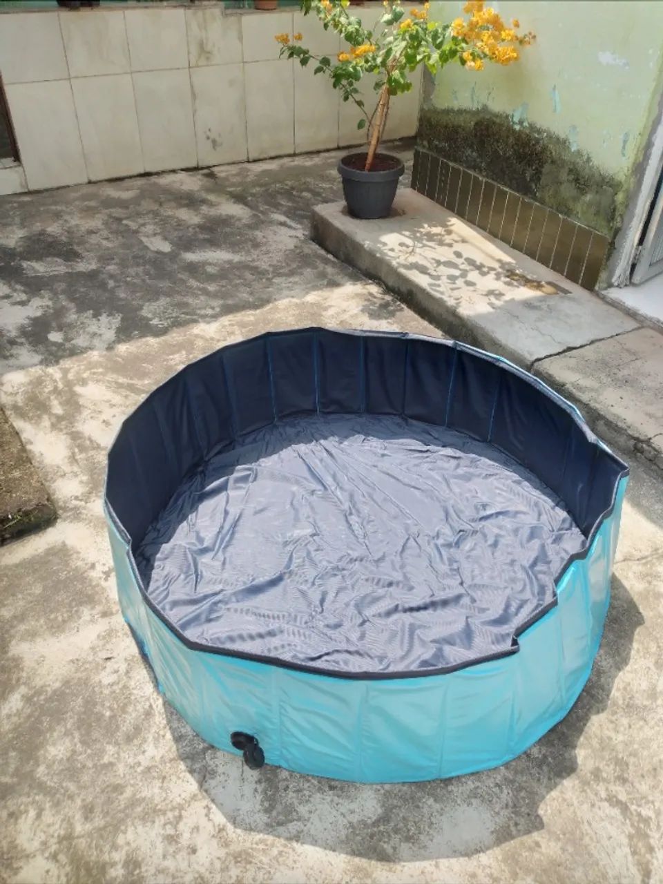 Piscina dobrável 