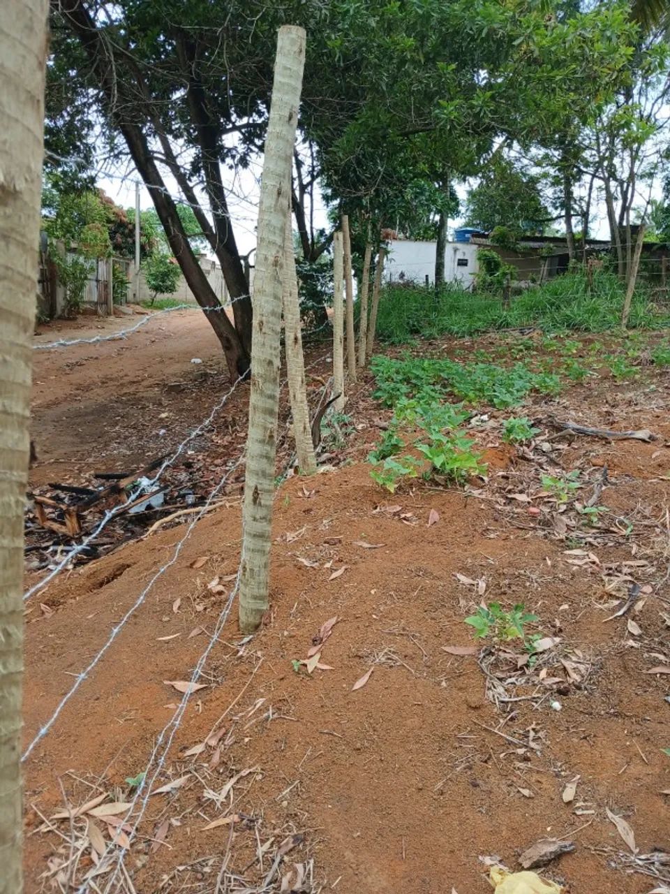 Terreno Grande em Piúma  - Foto 2