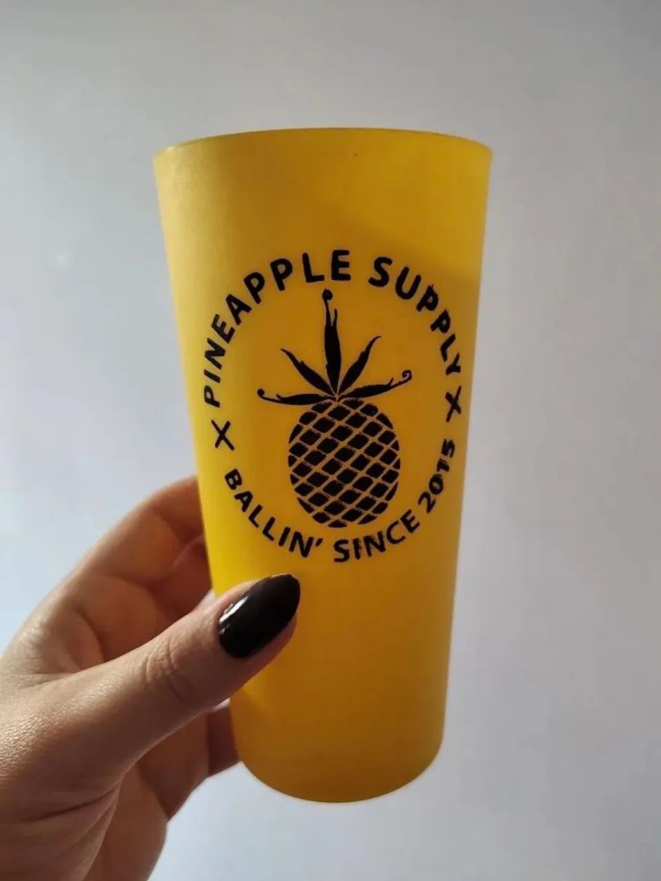 Kit Pineapple Supply: Bolsa, Copo e Meia - Foto 3
