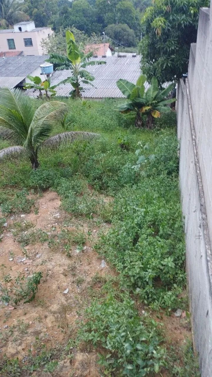Foto - Cariacica - Prolar
