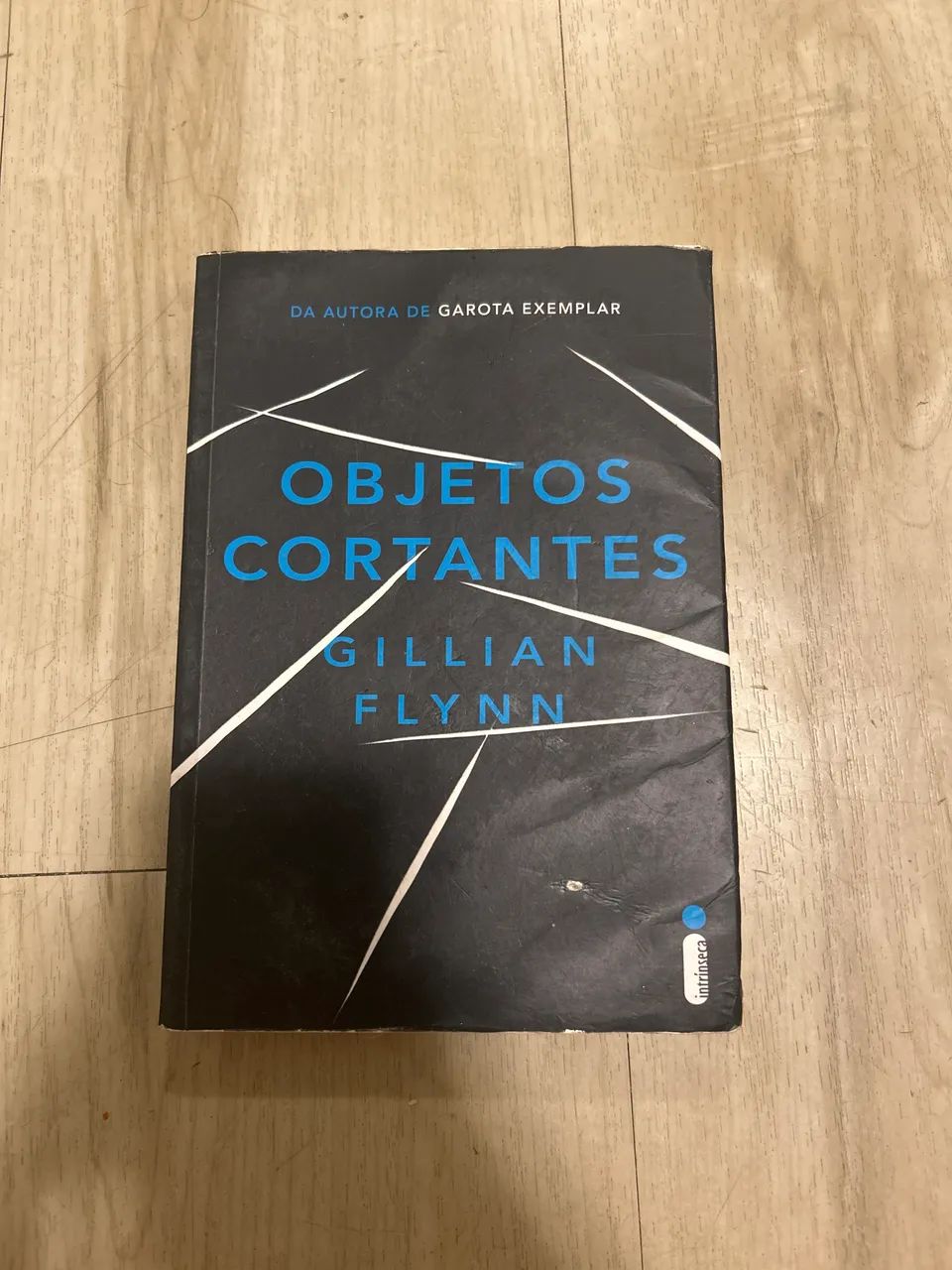 livro objetos cortantes